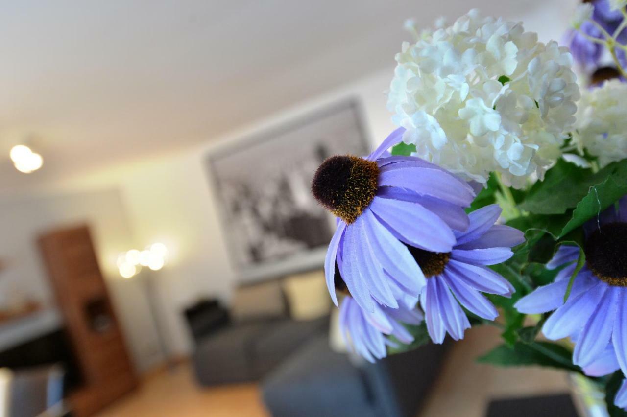 Haus Daniela Superior Apartman Cochem Kültér fotó
